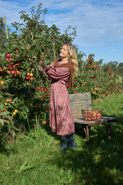BCLUNA RAGLAN DRESS POWDER